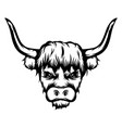bison with long horns vector image