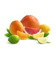 citrus realistic composition vector image vector image