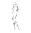 beautiful slim nude young woman vector image vector image