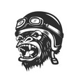 angry gorilla ape in racer helmet design element vector image vector image