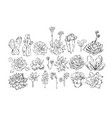 hand drawn abstract ink graphic brush vector image