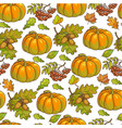 ripe pumpkin maple leaves and rowanberry seamless vector image vector image