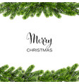 christmas background with green pine branches vector image vector image