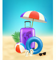 summer with season elements vector image vector image