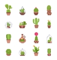 cactus icons set vector image