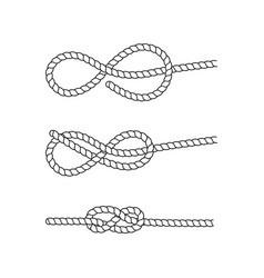 Knot Royalty Free Vector Image - VectorStock