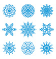 set of snowflakes vector image