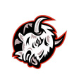 angry bison head ready to attack vector image