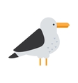 great black-backed gull larus marinus sea wildlife vector image vector image