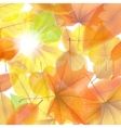 autumn background with maple leaves plus eps10 vector image