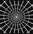 cobweb or spider web on dark background vector image vector image
