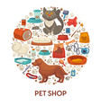 pet shop banner template with dog and cat care vector image