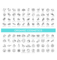 set of natural ingredients and oils vector image vector image