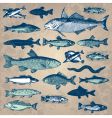 vintage fish set vector image vector image