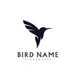 hummingbird logo design template bird vector image