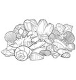 background with seashells vector image