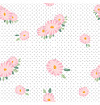 pink daisy spring seamless pattern vector image