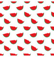 watermelon seamless pattern hand drawn vector image