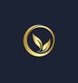 eco leaf round organic gold logo vector image