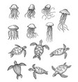 ocean jellyfish sea turtle marine animals sketch vector image vector image