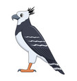 harpy eagle bird on a white background vector image vector image