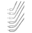 golf clubs vintage vector image