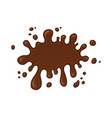 chocolate splash blot with drops vector image