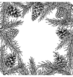 Pine cone and fir tree set botanical hand drawn Vector Image