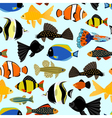 fishes seamless pattern cute cartoon aquarium fish vector image vector image