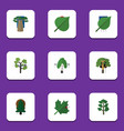 flat icon bio set of timber oaken forest vector image vector image