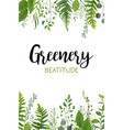 floral greenery vertical card design forest fern vector image vector image