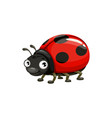 cartoon ladybug icon funny ladybird insect vector image vector image
