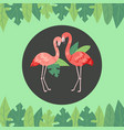 flamingo couple with bright green jungle palm vector image vector image
