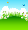 grass backgr vector image