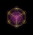 metatrons cube flower life sacred geometry vector image vector image