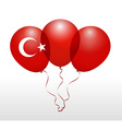 balloons in as national flag vector image
