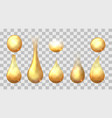golden drops set vector image vector image