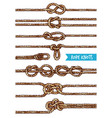 rope knots set vector image