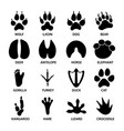 black footprints shapes of animals elephant vector image