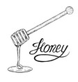 hand drawn honey stick with drop sketch vector image