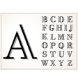 a light and elegant display font lines of equal vector image