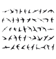 fifty swallows vector image