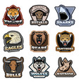 colorful wild animals labels set vector image