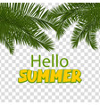hello summer green palm leaf transparent vector image vector image