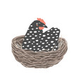 cute dappled hen sitting in the nest vector image