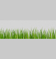 green grass lawn for field sprouts grass vector image