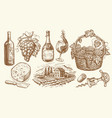 bottle of wine grapevine vineyard corkscrew vector image vector image