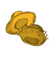 straw hats object vector image