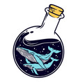 whale and bottle vector image vector image