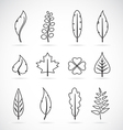leaves icon set vector image